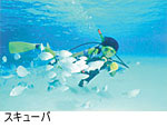 カルチャー
